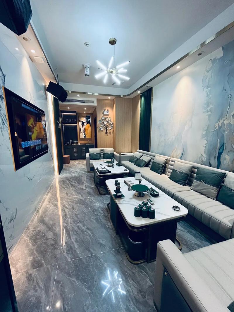 商务ktv好不好-柯城区ktv预订